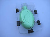3-D Oval with Leaf Soap Mold