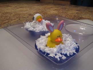project_duckpond_D
