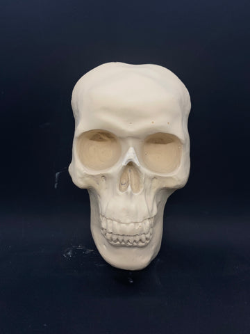 Skull Mold