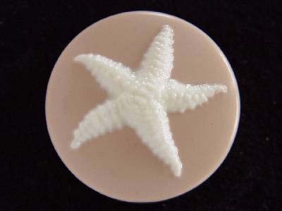 starfish