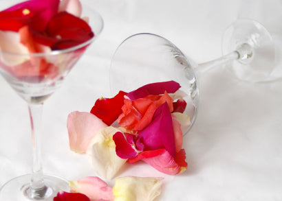 Martini Rose Fragrance